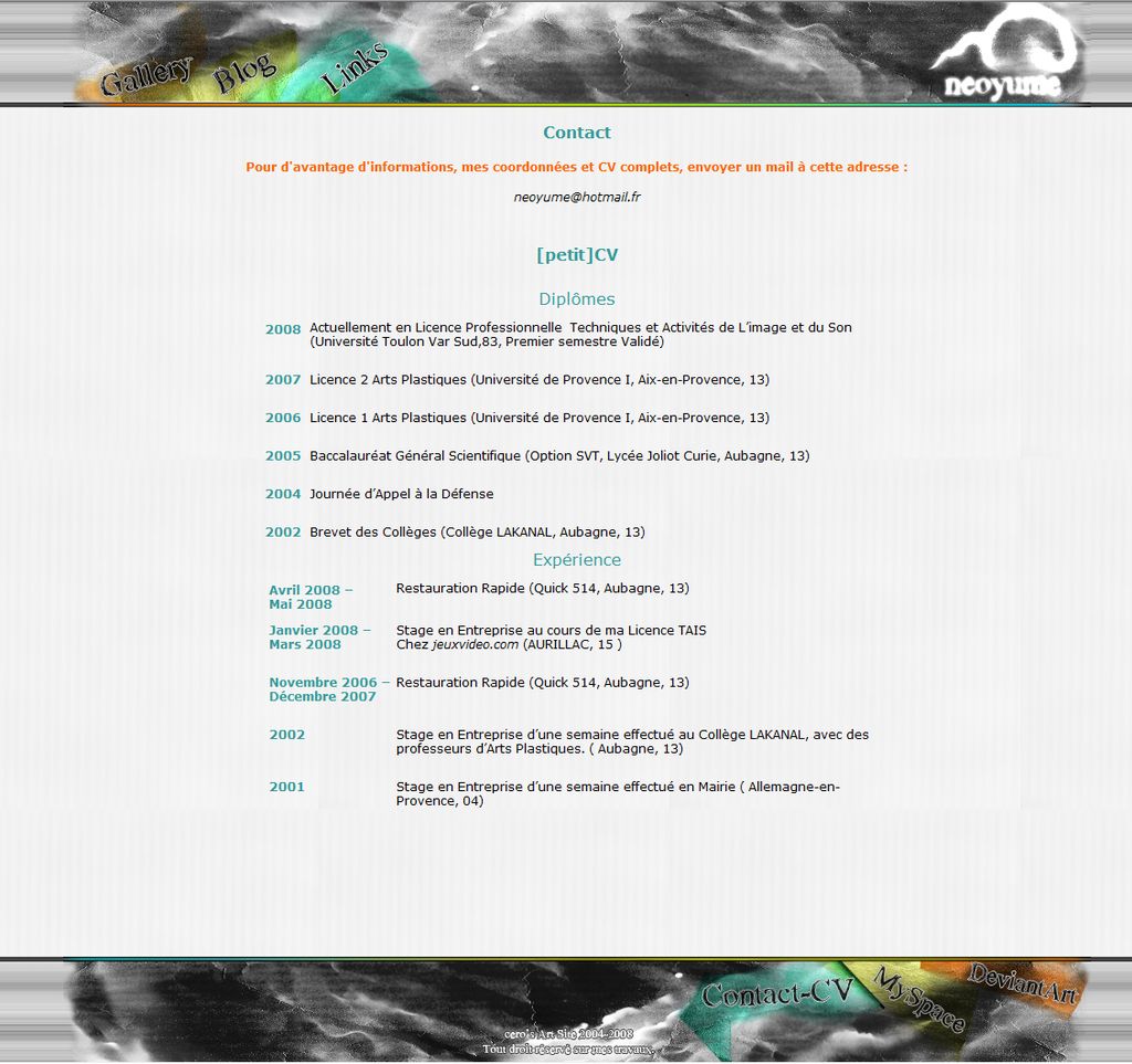 2008 web artsite