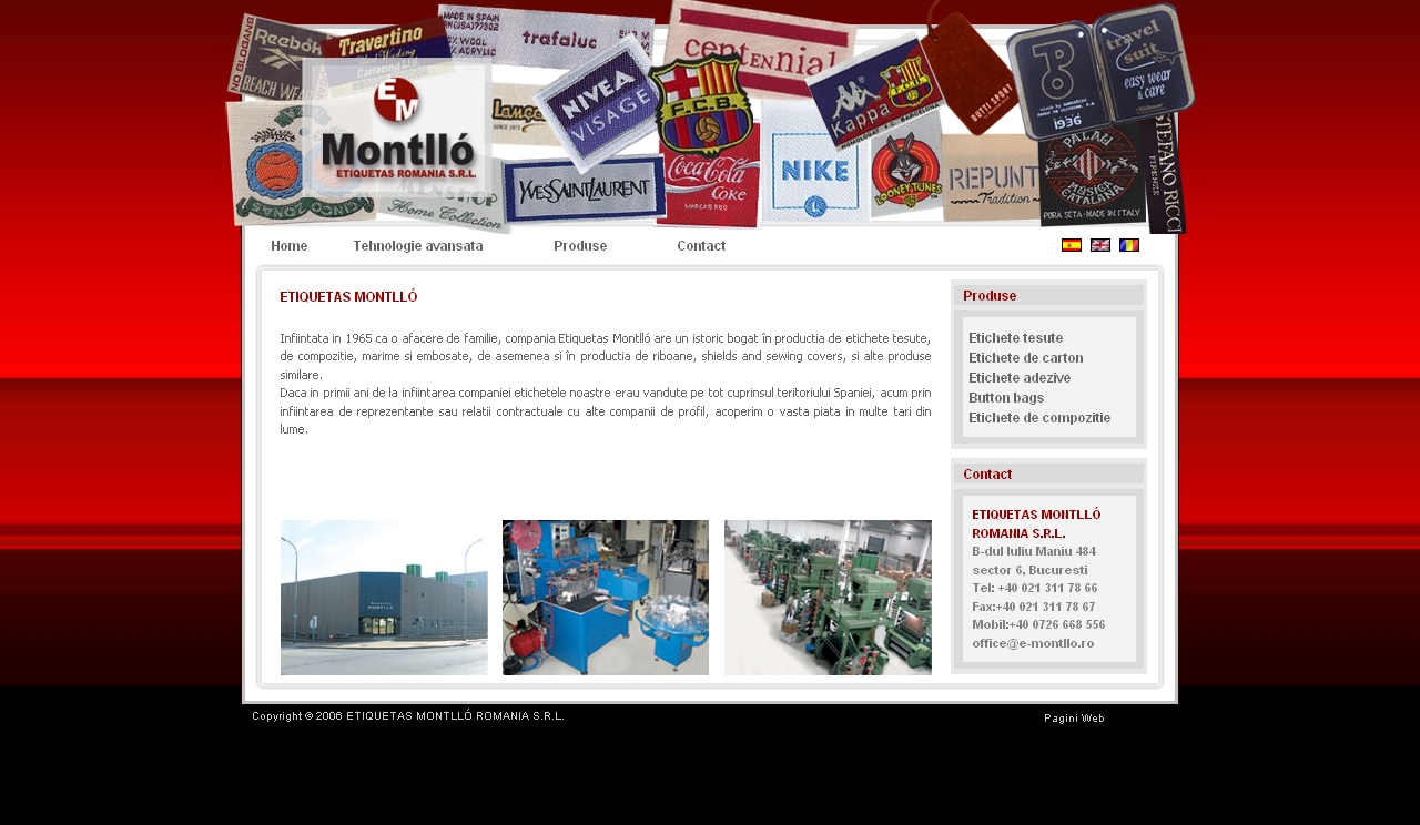 Web design optimizare seo emontllo