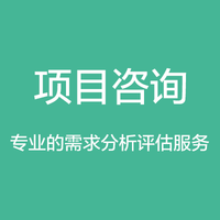 项目咨询