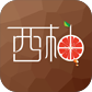Case xiyou logo